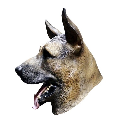 Allemand berger alsacien - berger,