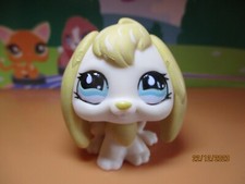 Petshop Lapin bélier #610