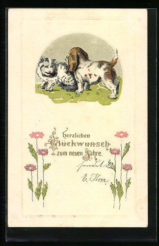 Carte postale gaufrée - , chiot