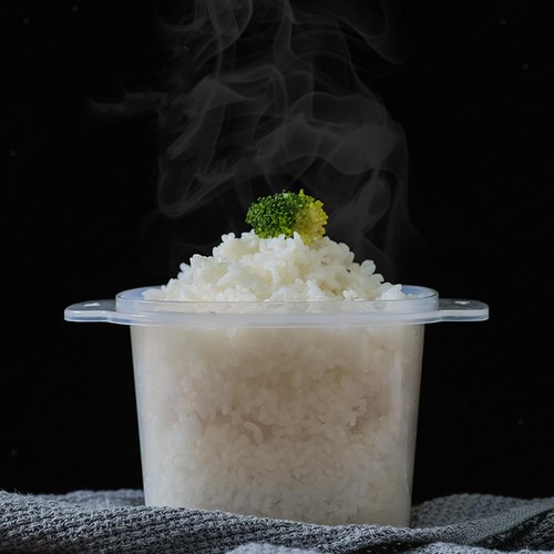 Cuiseur riz micro - cuiseur, à