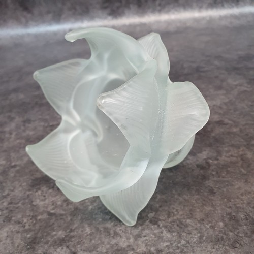 Belle tulipe verre pour - en,