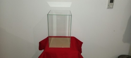 Vitrine cloche protection - vitrine,