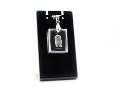 Bichon havanais pendentif en cristal avec chien Art-Dog