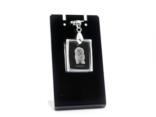 Bichon havanais pendentif - , en