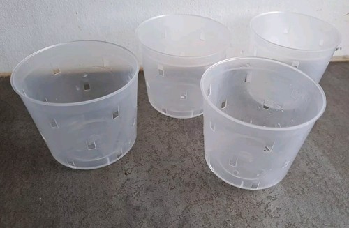 Moules ou - 4,
