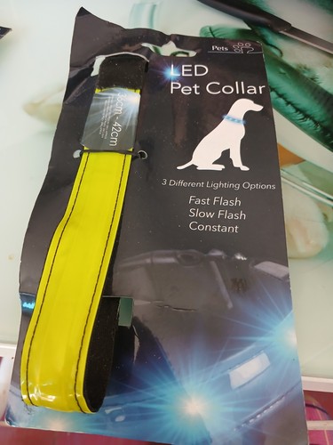 Laisse ceinture sécurité - laisse, de