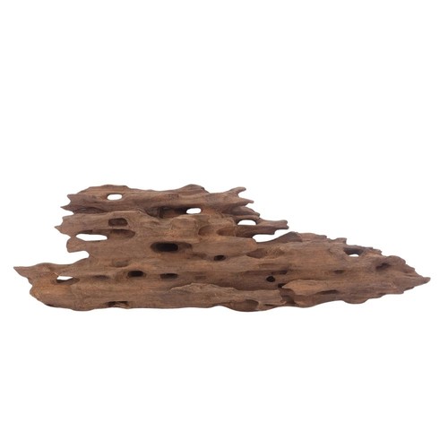 Honey peigne racine - l,