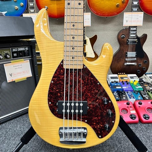 Olp musicman stingray 5 - olp,