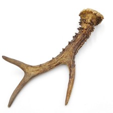 Barre De Support Longueur 21