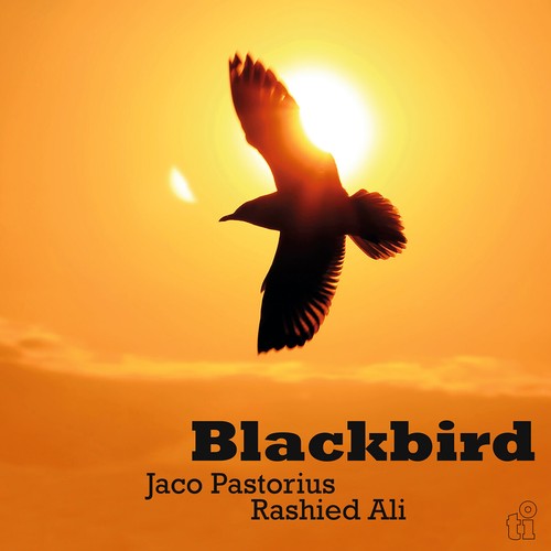 Jaco pastorius rashid - &,