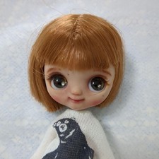 Custom Blythe Petite Doll