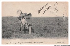 CAR-AFIP13-0725-13 - En