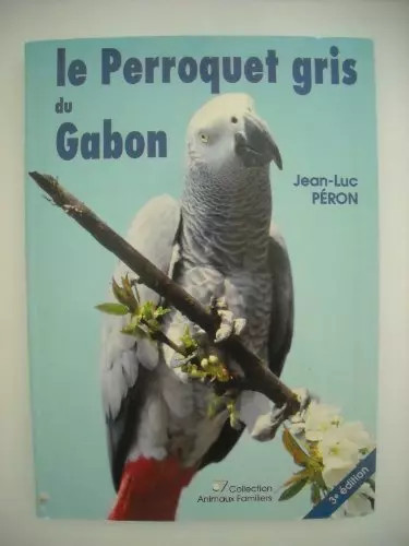 Perroquet gris gabon - gris, du