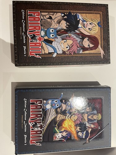 Fairy tail coffret dvd - fairy,