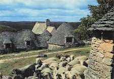 24 MONTPON MENESTEROL ORGAN CENTRE