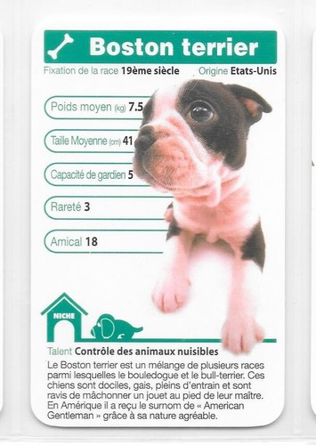 Carte top trumps chiens - carte,