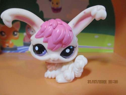 Petshop lapin angora 1894 - lapin,