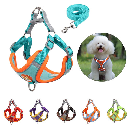 Harnais laisse pour chien - harnais,