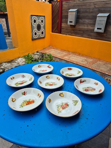 Lot assiettes creuses - lot,