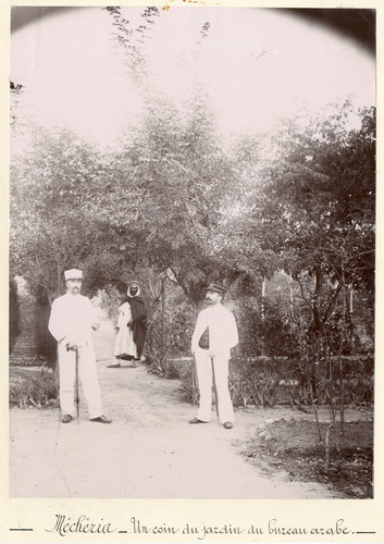 Algérie mécheria - algérie,,