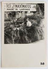 Char Maximatos made in rabbits, rabbits - Vintage photo snapshot