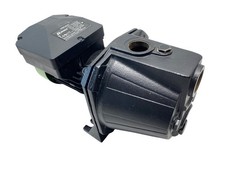 Pompe de jardin de surface