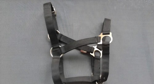 Licol cheval nylon noir - nylon,
