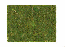 Plaque de mousse Décor Maison