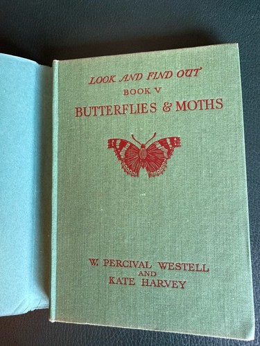 Butterflies moths look and - &, moths.
