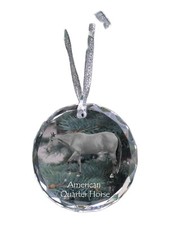 Américain Quarter Horse -