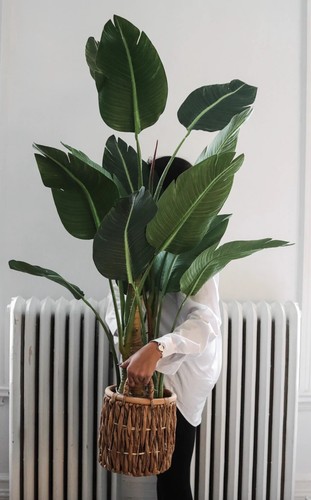 Plante artificielle eva - plante,