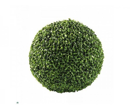 Sphère buis diamètre - diamètre, 18cm