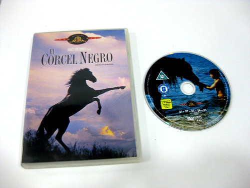 Corcel noir dvd kelly reno - dvd,