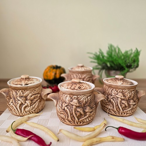Lot casseroles en argile - casseroles,