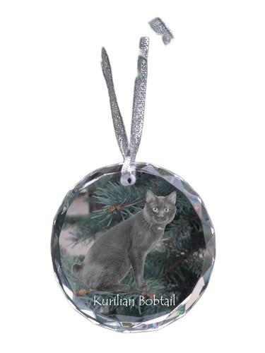Kurilianer bobtail boule - -,