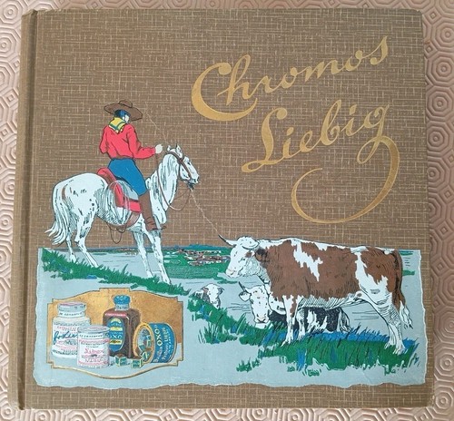 Album 300 chromos - album,