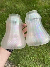 Paire De Verre De Lampe Tulipe Gravé Acide Feuilles Muller Daum Gallé