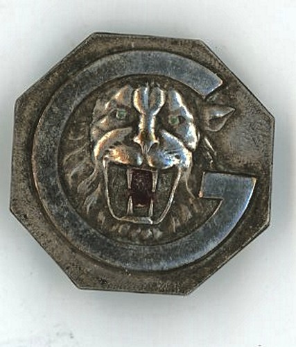 Marine guepard insigne - marine,