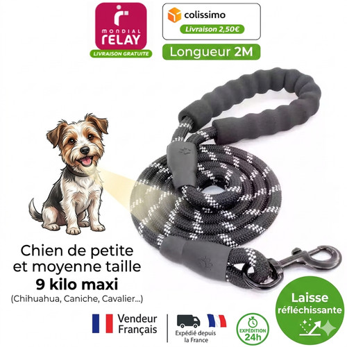 Laisse chien - laisse, 2m