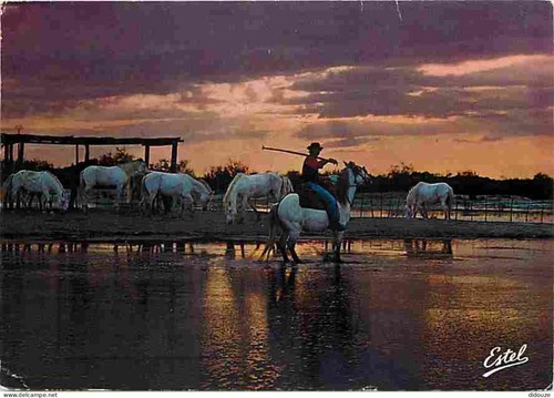 Carte postale animaux - postale,