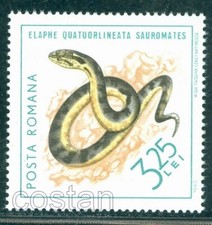 1965 Reptiles,The Blotched snake (Elaphe sauromates)  , Romania,MNH