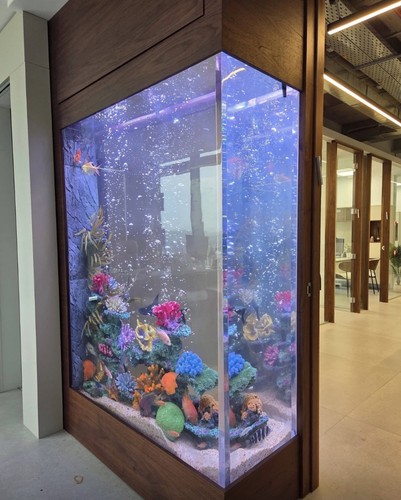 Huge aquarium 500gal - aquarium!,