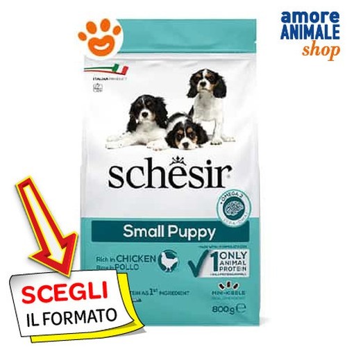 Schesir chien petit - schesir,