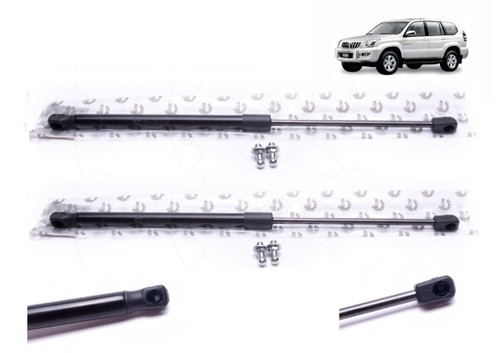 Verins capot - (la, paire)