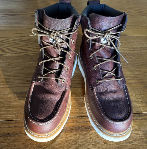 Irish setter red - wing, ashby
