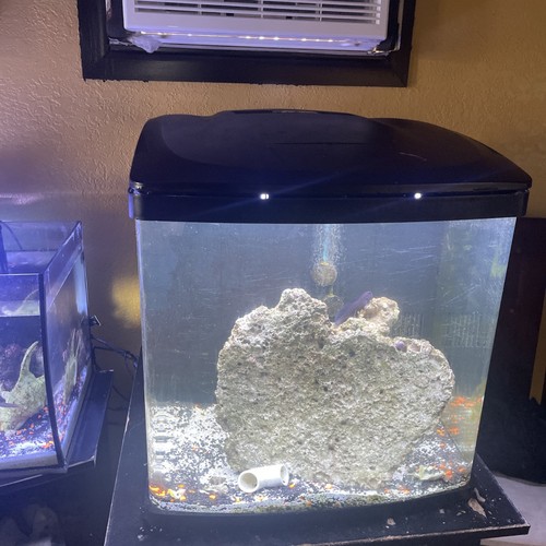 Complete fish aquarium - complete,