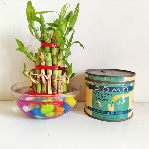 1930 vintage domo complet - vintage,