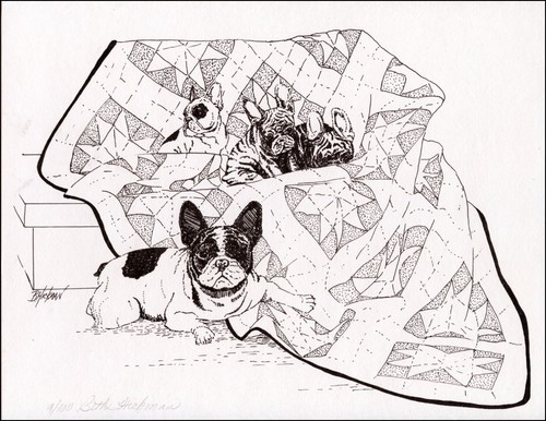 French bulldog dog - french, fine