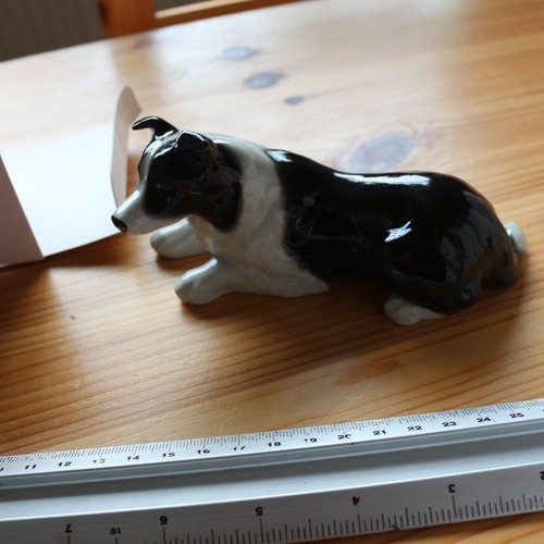 Wade dog series - wade,