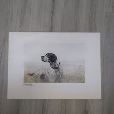 DANCHIEN CHIEN CHASSE HUNTING